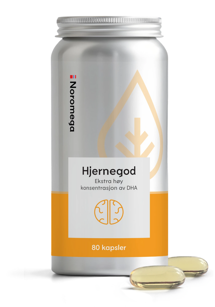 Hjernegod
